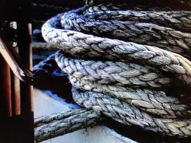 Schiff Ahoy, Hotelschiff, Hausboot, Boot, Passagierschiff Stuttgart Bagian luar foto